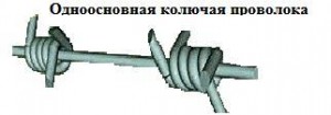 koluch_prov_1 koluch_prov_1